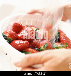 Person, die Erdbeeren waschen, in Sieb, Nahaufnahme Stockfoto