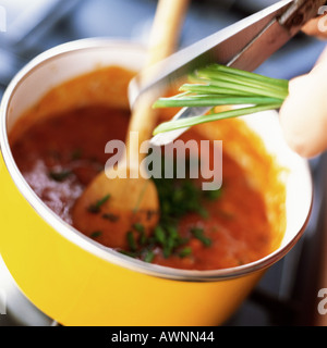 Nahaufnahme von schneiden und mischen Kräuter in einer sauce Stockfoto