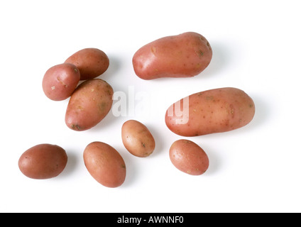 Neue Kartoffeln Stockfoto