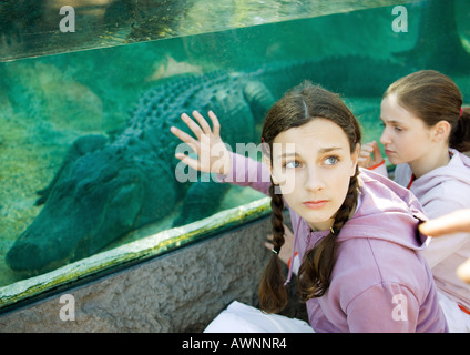 Teen Mädchen berühren Glas Aquarium mit alligator Stockfoto