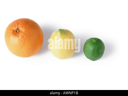 Zitrusfrüchte Stockfoto