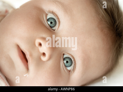 Babys Gesicht, Blick in die Kamera, Nahaufnahme Stockfoto