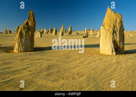 Die Pinnacles Desert, Nambung National Park, Western Australia, Australien, Ozeanien Stockfoto