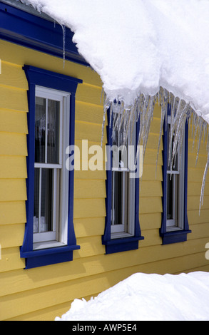 Eiszapfen hängen vom Schnee beladenen Dach mit Blick auf ein blau gerahmte Fenster auf eine gelbe Wand in Crested Butte, Colorado, USA Stockfoto