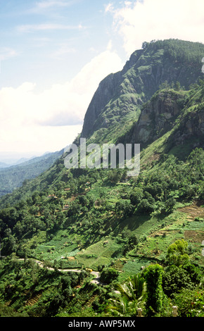 Sri Lanka Ella Ansicht der Küstenebene von Rasthaus Stockfoto