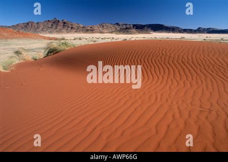 Roten Sanddüne mit Bergen im Hintergrund, Namib-Naukluft-Nationalpark, Namibia, Afrika Stockfoto