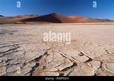 Getrocknet, rissige Erde vor einer Sterne Düne, Sossusvlei, Namibia, Afrika Stockfoto