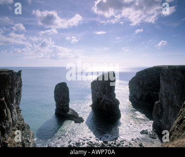 Stack Felsen Pembrokeshire Coast National Park-Wales Stockfoto