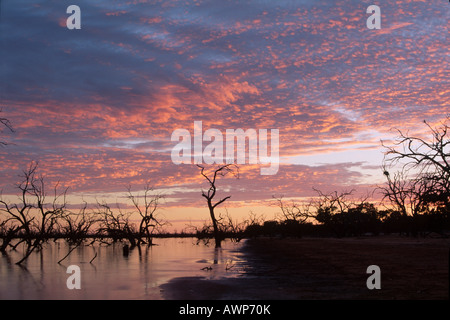 Sonnenaufgang über dem See Pamamaroo, Kinchega Nationalpark, New South Wales, Australien, Oceania Stockfoto