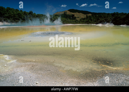 Vulkanische Pool, Wai-O-Tapu geothermal Region, North Island, Neuseeland, Ozeanien Stockfoto