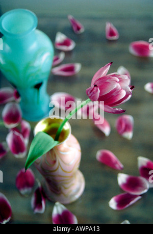 Ein Schuss von zwei Jugendstil gestaltete Kunst Glasvasen mit einer Tulpe. Stockfoto