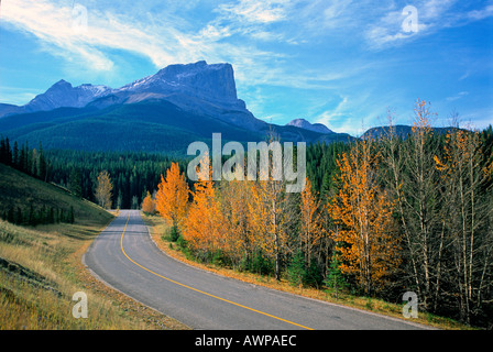 Straße nach Roche Miette Stockfoto