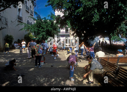 Puerto Ricaner, Puerto Rican, Menschen, Kinder, Familie, füttern Tauben, Parque de las Palomas, Old San Juan, San Juan, Puerto Rico Stockfoto