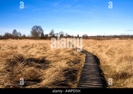 Gefrorene Holzsteg führt den Besucher-Informationszentrum im Winter, Hautes Fagnes (Hoge) Hochland, Lüttich, Belgien, Stockfoto