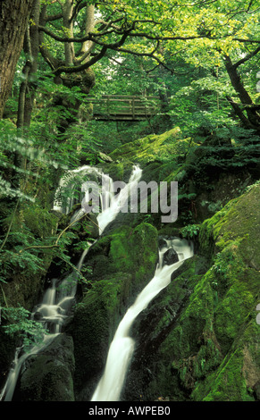 Wasserfall Stock Ghyll Kraft in der Nähe von Ambleside The Lake District England Stockfoto