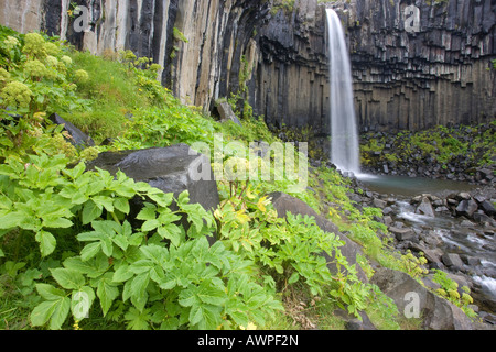 Wasserfall Svartifoss, Skaftafell-Nationalpark, Island, Atlantik Stockfoto