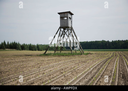 Blind oder erhöhte verstecken auf Feld angehoben Stockfoto