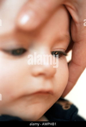 Hand der Erwachsenen um Babys Gesicht, Nahaufnahme Stockfoto