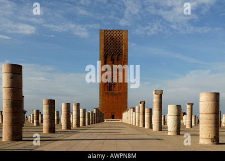 Hassan-Turm, Minarett einer unvollendeten Moschee begonnen im Jahre 1195, Rabat, Marokko, Nordafrika Stockfoto