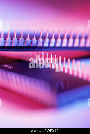 Computer-Schaltungen, close-up Stockfoto