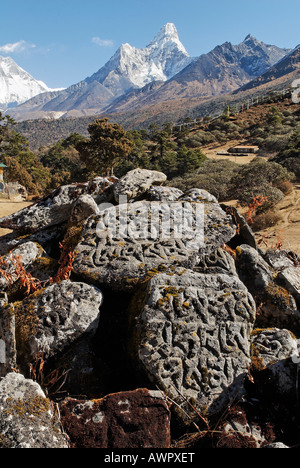 Mani-Stein im Kloster Tengpoche vor Ama Dablam (6856), Sagarmatha Nationalpark, Khumbu, Nepal Stockfoto