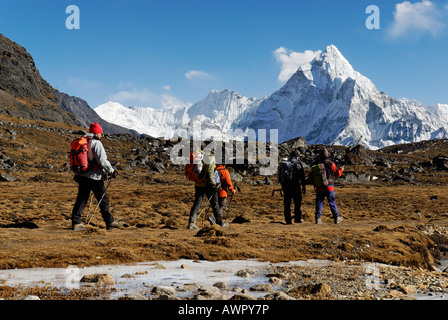 Wandergruppe bei Chola Khola Tal in der Nähe von Dzonglha vor Ama Dablam (6856), Sagarmatha Nationalpark, Khumbu Himal, Nepal Stockfoto