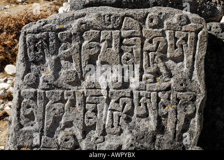 Mani-Mauer, Mani-Stein, Dudh Kosi Tal Solukhumbu, Khumbu, Sagarmatha Nationalpark, Nepal Stockfoto