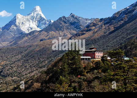 Tengpoche Kloster vor Ama Dablam (6856), Sagarmatha Nationalpark, Khumbu, Nepal Stockfoto