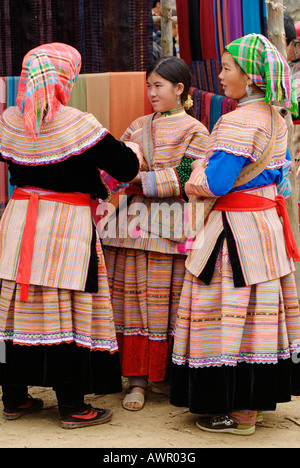 Frau von der Flower Hmong in Bac Ha Markt, Ha Giang Provinz, Nord-Vietnam Stockfoto