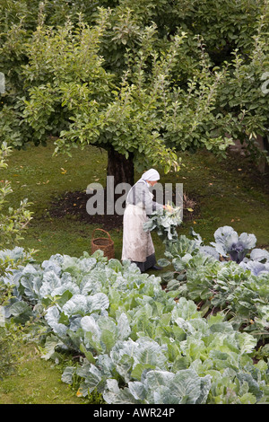 Nonne bei der Gartenarbeit am Kloster Sankt Johann (St. Johann), Benediktiner-Kloster und UNESCO-Weltkulturerbe, Lowe Stockfoto