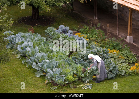 Nonne bei der Gartenarbeit am Kloster Sankt Johann (St. Johann), Benediktiner-Kloster und UNESCO-Weltkulturerbe, Lowe Stockfoto