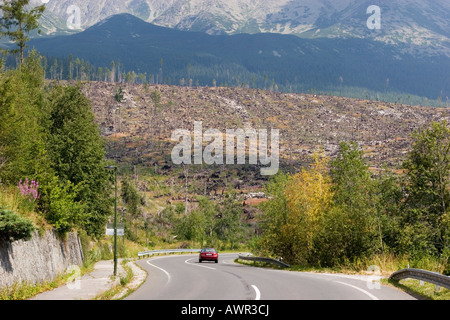 Hurrikanschäden auf der slowakischen Seite der hohen Tatra, fast die Hälfte der Bäume wurden zerstört durch einen Hurrikan auf dem 19. o Stockfoto