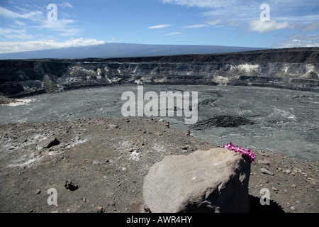 Magmatisches Gestein am "Chain of Craters Road" im Vulkan-Nationalpark auf Big Island, Hawaii, USA Stockfoto