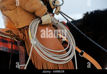 Auf einem Pferd mit Sattel und lasso Stockfoto