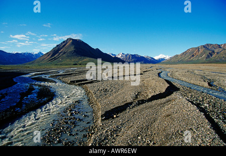 Breites Flussbett und weit verzweigt Flüsse fließen von den Bergen der Alaska Range, Denali National Park, Alaska, USA Stockfoto