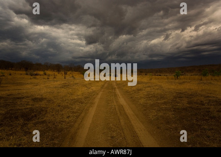 Dunkle Gewitterwolken zu sammeln, über Nationalpark Chobe Wildreservat während der Regenzeit in Botswana Stockfoto