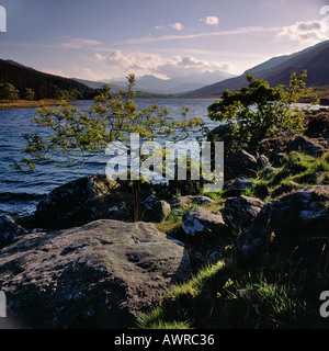 ANSICHT DER SNOWDON REICHEN VON SEE LLYNNAU MYMBYR SNOWDONIA N WALES UK Stockfoto