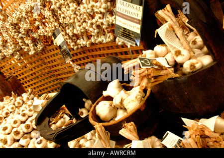 frischer Knoblauch Zwiebeln und Knoblauchzehen auf zum Verkauf an ein Land Fayre Fete Markt Knoblauch-Festival auf der Isle Of Wight ländlichen Produkten Stockfoto