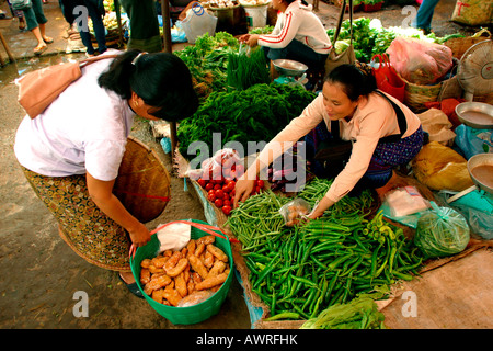 Laos Vientiane Talat Sao Morgen Gemüse Marktstand Stockfoto