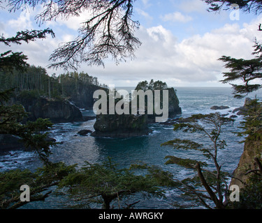 Cape Flattery Felsnadeln, Washington, USA Stockfoto