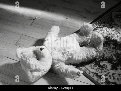 Teddy-Bär auf dem Boden liegend Stockfoto