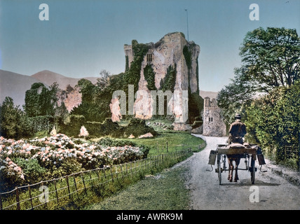 Ross Castle Irish Stockfoto