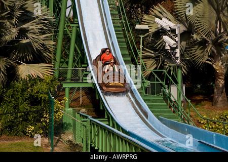 Log Flume Ride Im Busch Gardens Florida Usa Stockfoto Bild