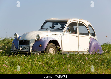 Einen alten Citroen 2CV Parkplatz auf einer Wiese Stockfoto