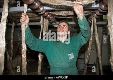 Ein Arbeiter entwirrt Splittern von Spülmittel Flachs aus dem Zeilenende hackling Terre de Lin-Saint-Pierre-le-Viger-Frankreich Stockfoto