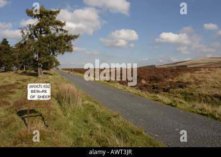 Weit entfernten Auto nähert sich einer Schafe hütet euch vor auf Single Track Road, Sheriffmuir Sign. Stockfoto