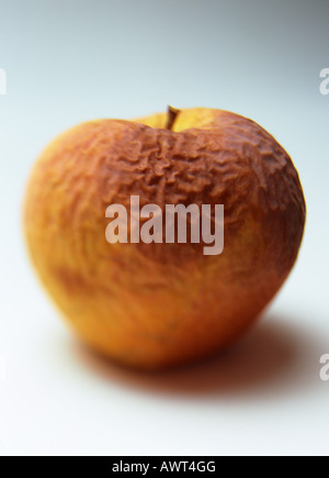 EINE FAULE UND FALTIG GELBER APFEL GOLDEN DELICIOUS Stockfoto