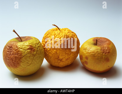 DREI FAULEN UND FALTIG GELB GOLDENE ÄPFEL Stockfoto