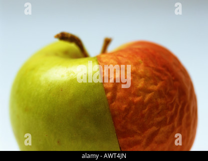 ZWEI VERBUNDEN HÄLFTEN EINER FRISCHEN GRÜNEN GRANNY SMITH UND EINE FALTIGE GOLDENE ÄPFEL Stockfoto