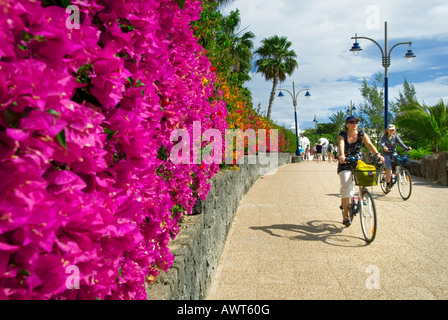 PLAYA BLANCA radfahren Radfahrer Pfad bunten Bougainvillea Promenade mit Radfahrern, Playa Blanca Lanzarote Kanarische Inseln Spanien Stockfoto